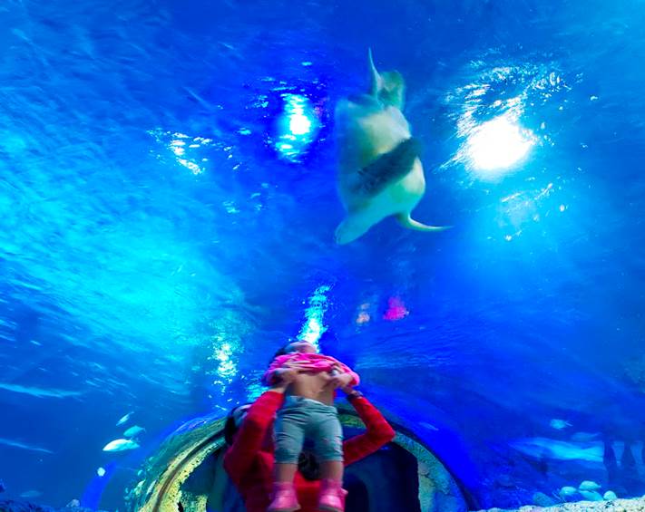 Melissa and her daughter observing a turtle swimming above them in a glass tunnel