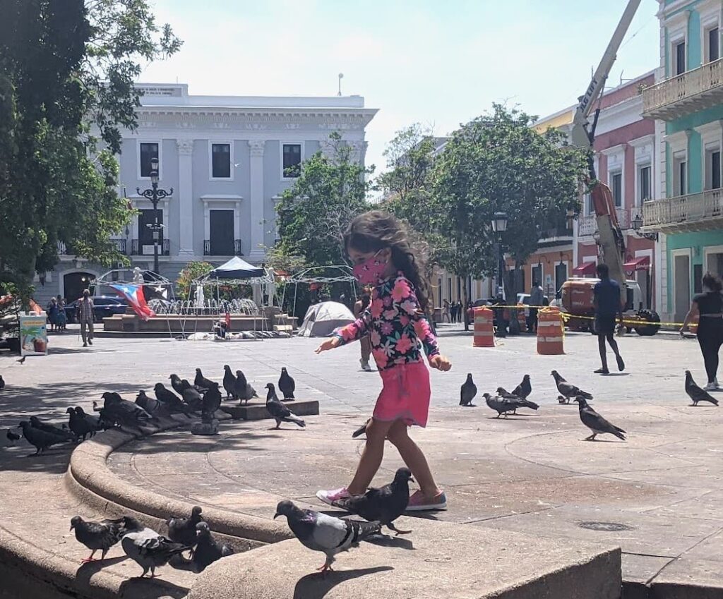 Melissa's daughter playing with palomas