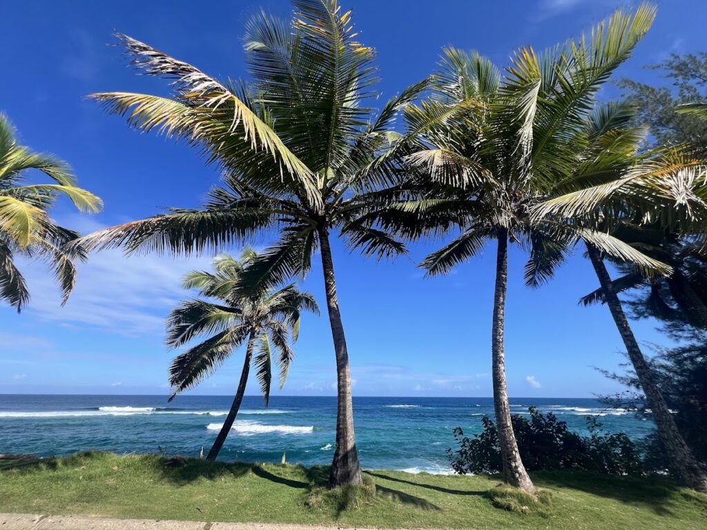 Puerto Rico beach