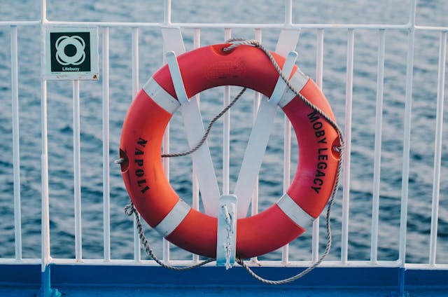 Lifebuoy