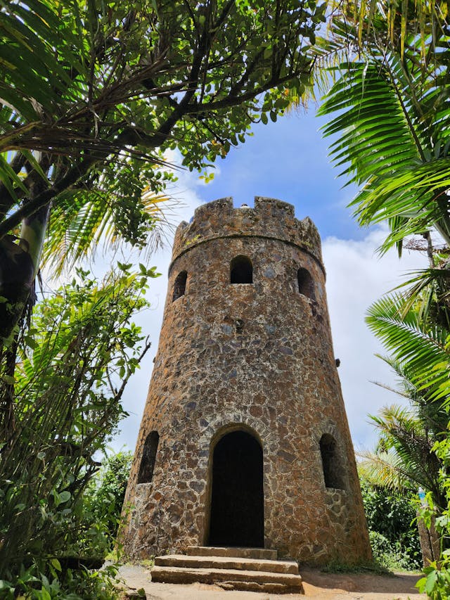 A tower in El Yunque Rainforest