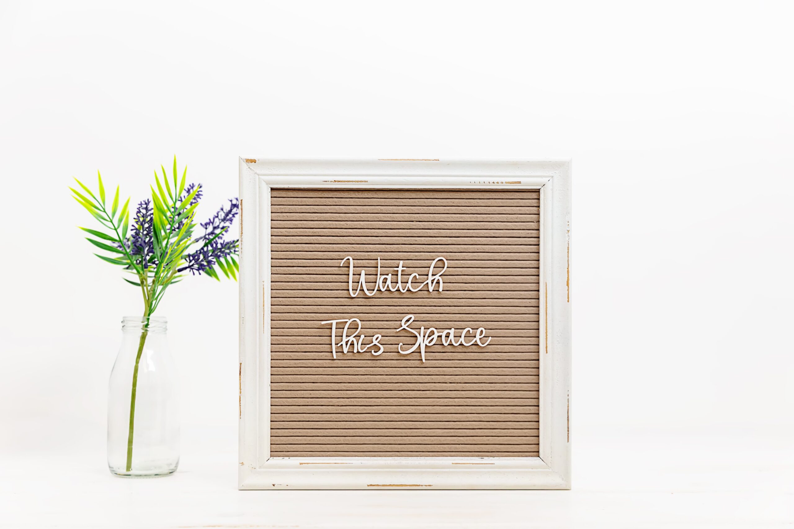 A frame reading “Watch This Space” placed near a vase with flowers