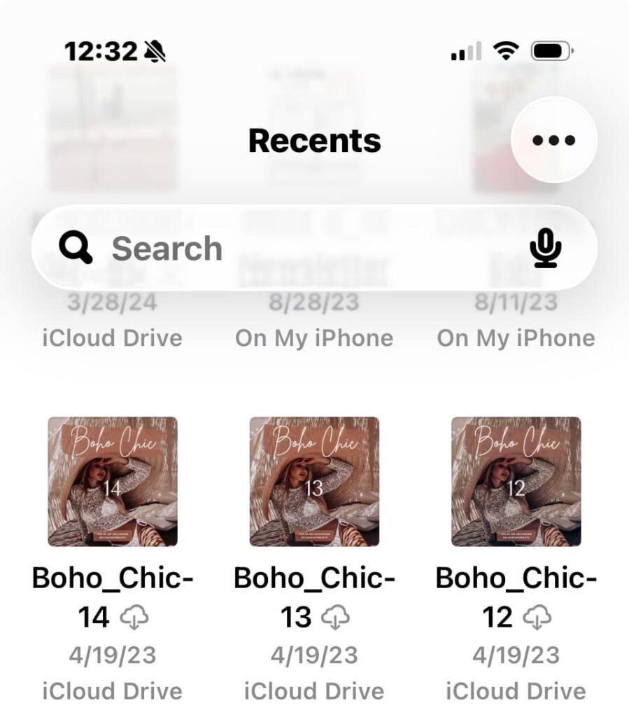 Downloads on iPhone