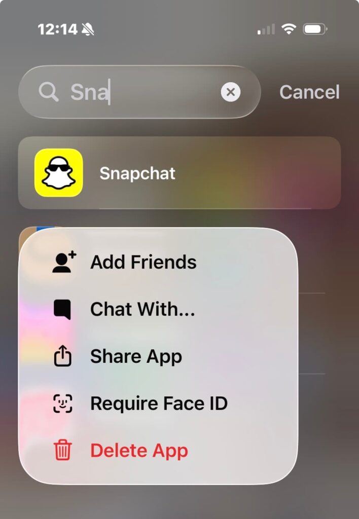 Snapchat delete section