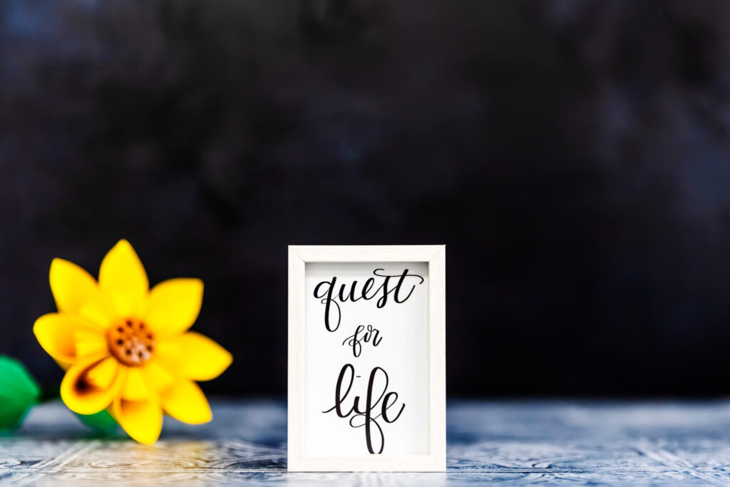 Framed artwork titled “Quest of Life” placed next to a daffodil flower