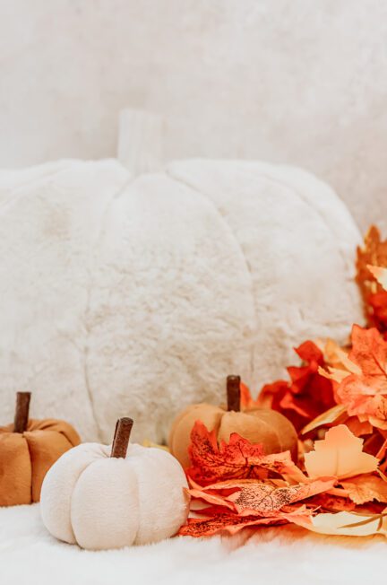 White and orange pumpkins and leaves