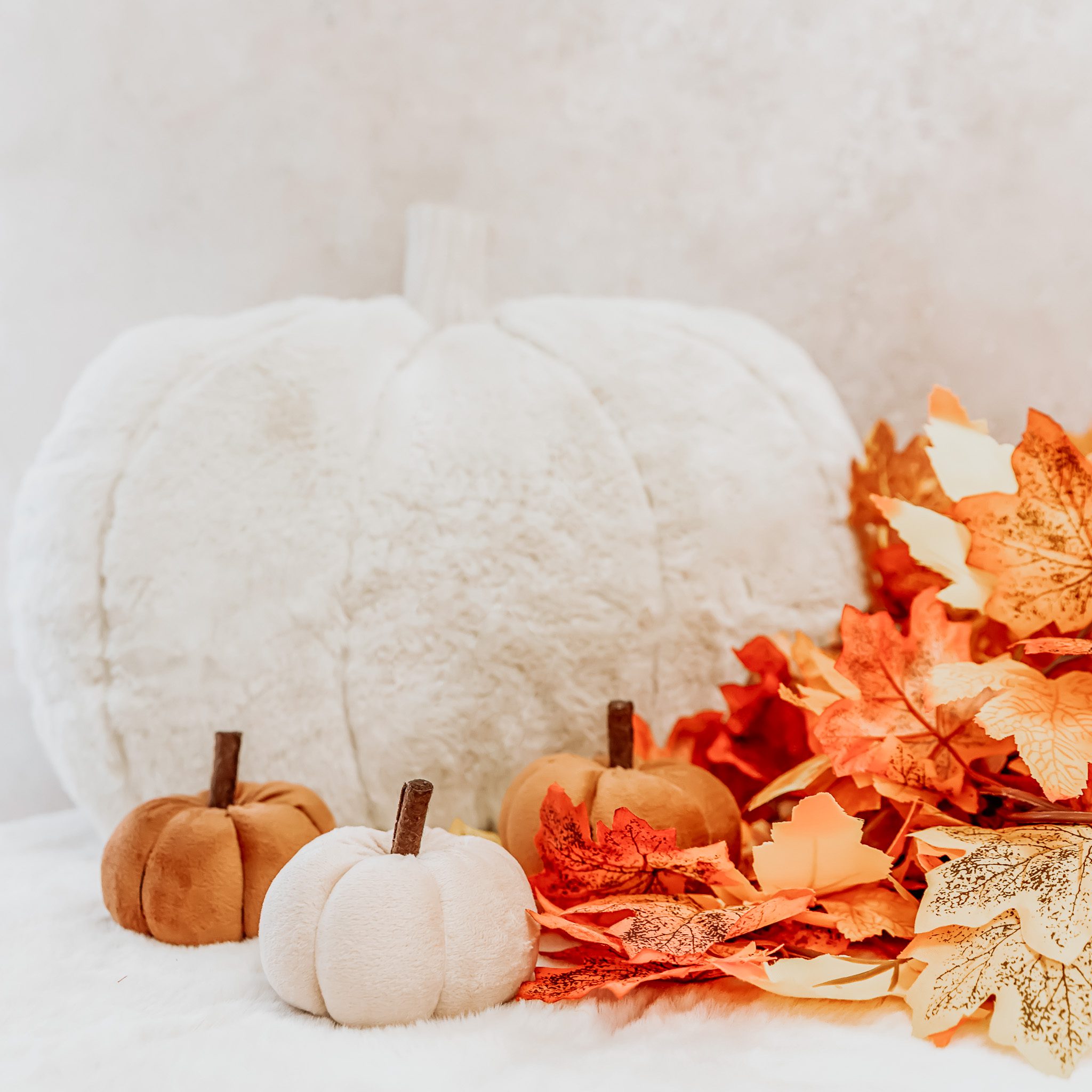 White and orange pumpkins and leaves
